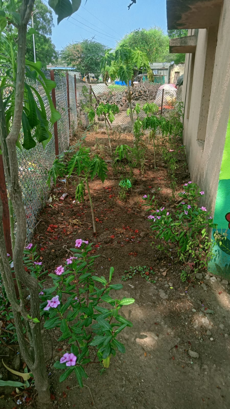 वृक्षारोपण