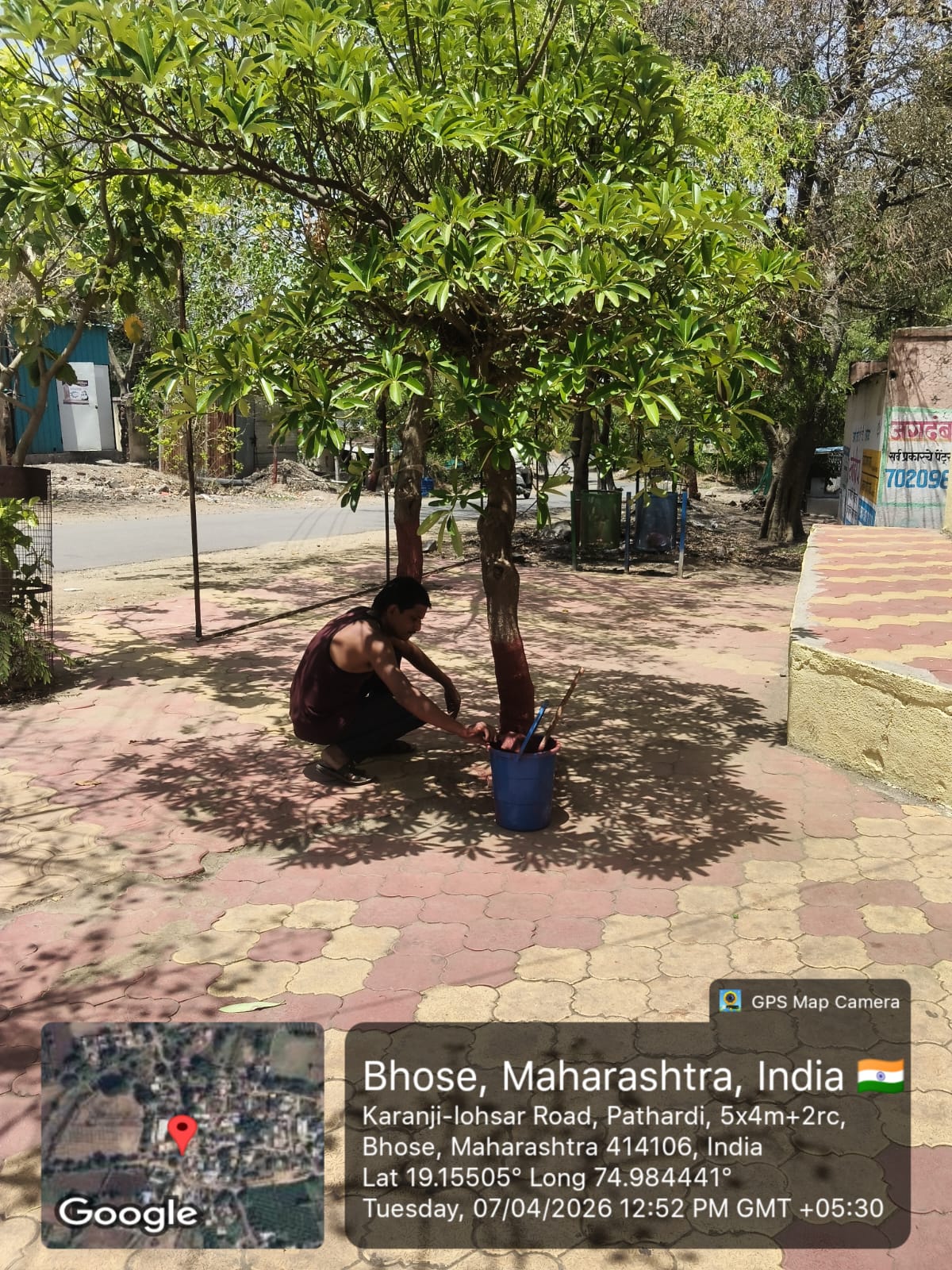 वृक्षांना पाणी